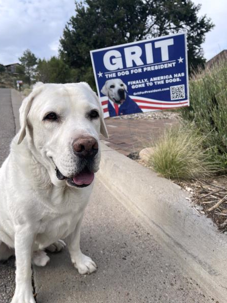 /Images/uploads/Albuquerque Publishing Company/abqjournalpetcontest/entries/31883thumb.jpg